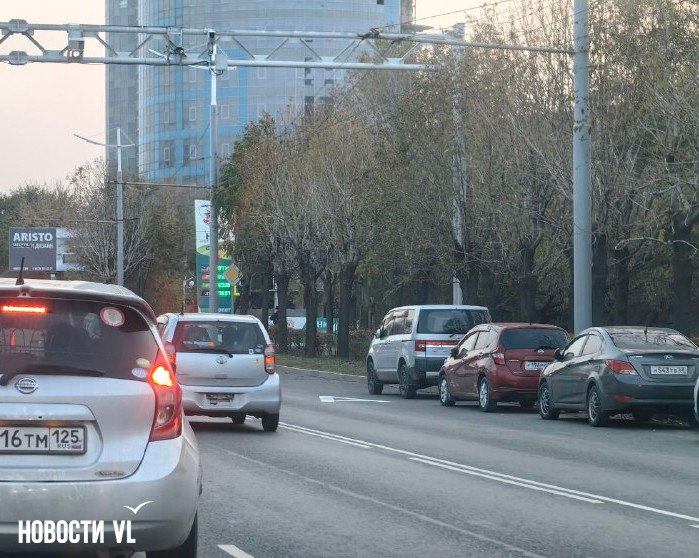 Дорожники дорисовали автобусную полосу от Второй Речки в сторону Некрасовского путепровода