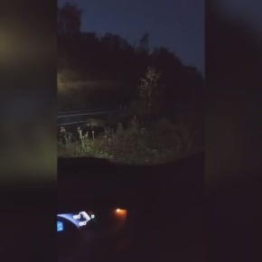 Бесстрашный тигр пугает жителей Подъяпольского и Мысового в Приморье и позирует автомобилистам