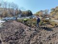 Специалисты городского предприятия «Зеленый Владивосток» украсили клумбу на улице Спортивной новыми растениями