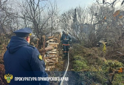 Прокуратура взяла на контроль установление причин пожара в Чугуевском округе, в котором погибли два человека