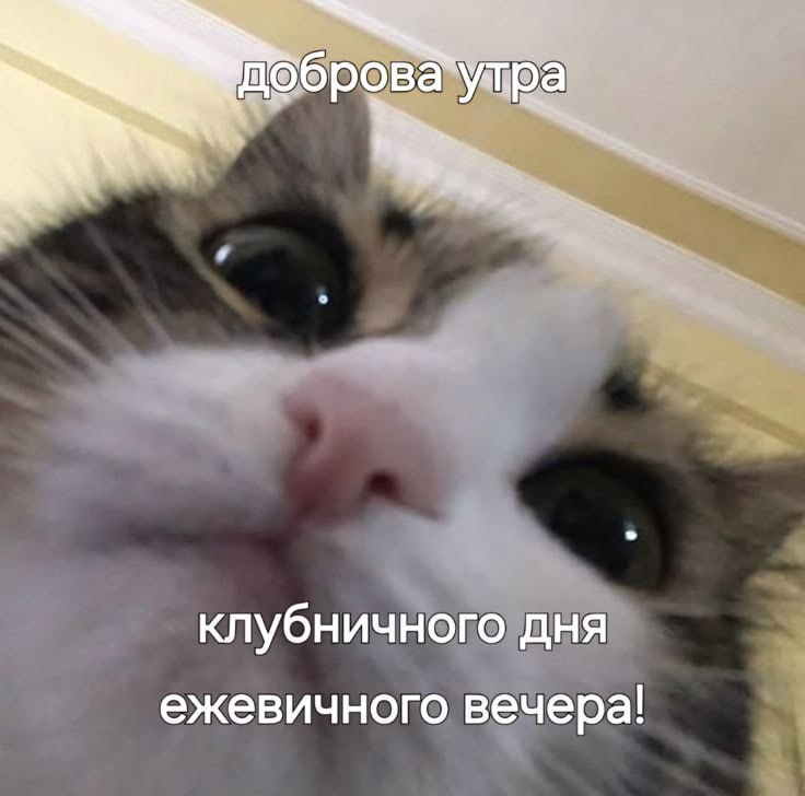 Доброе утро, Приморье!. Погодную обстановку в регионе формируют атмосферные фронты