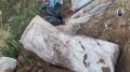 Следком обнаружил схрон оружия, принадлежавший ОПГ в Находке