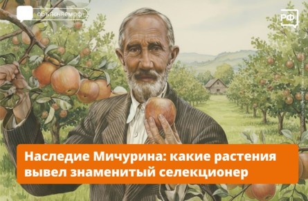 Яблони и сливы Ивана Мичурина могут расти у вас на даче!