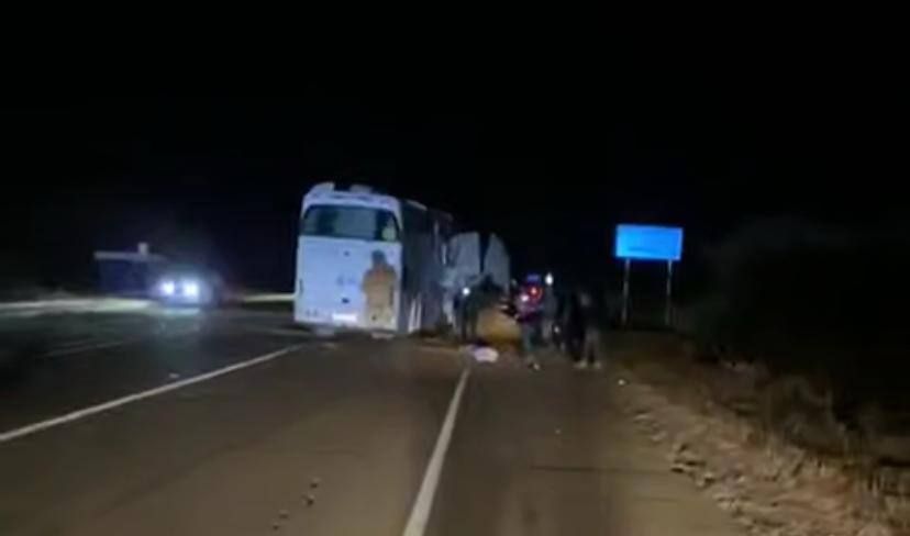 Сотрудники Госавтоинспекции устанавливают обстоятельства ДТП с участием туристического автобуса в Приморье