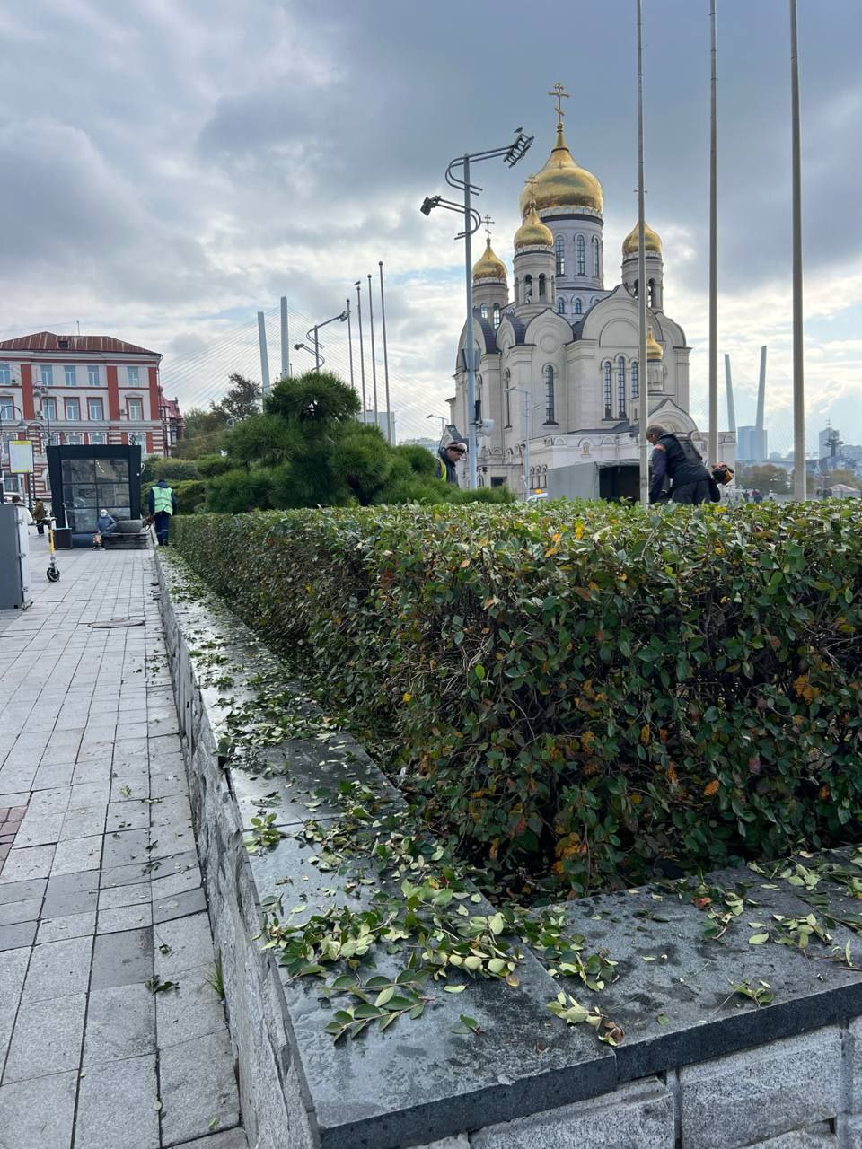 Делимся результатом нашей работы за прошедшую неделю Делимся результатом нашей работы за прошедшую неделю