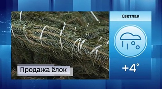 Новости Приморья коротко и о погоде в районах края