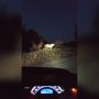 Специальная манёвренная группа будет следить за тигром, захаживающим в сёла Шкотовского района