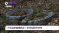Сезонное «переобувание» машин стало проблемой для Приморья