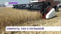 Приморский рис отправляют на прилавки Москвы и Новосибирска