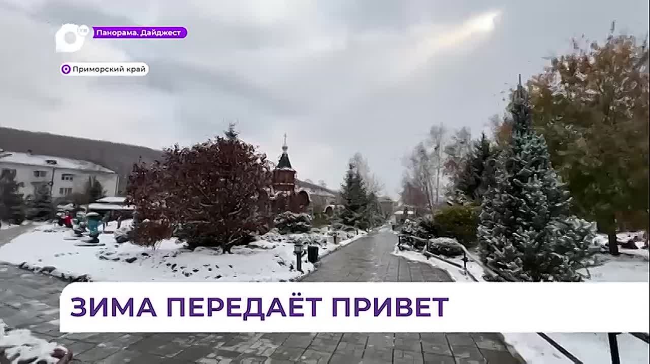 Приморье накрыло первым снегом