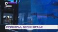 Учёные-биологи из Приморья восстанавливают популяцию камчатского краба