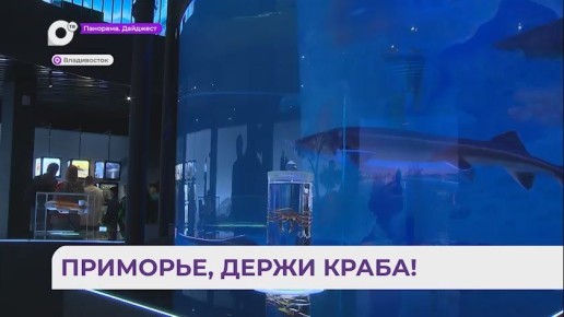 Учёные-биологи из Приморья восстанавливают популяцию камчатского краба
