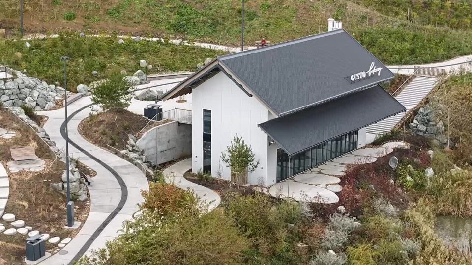  :      DNS      Concrete Jungle        