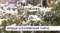 Национальный парк «Бикин» празднует свой юбилей