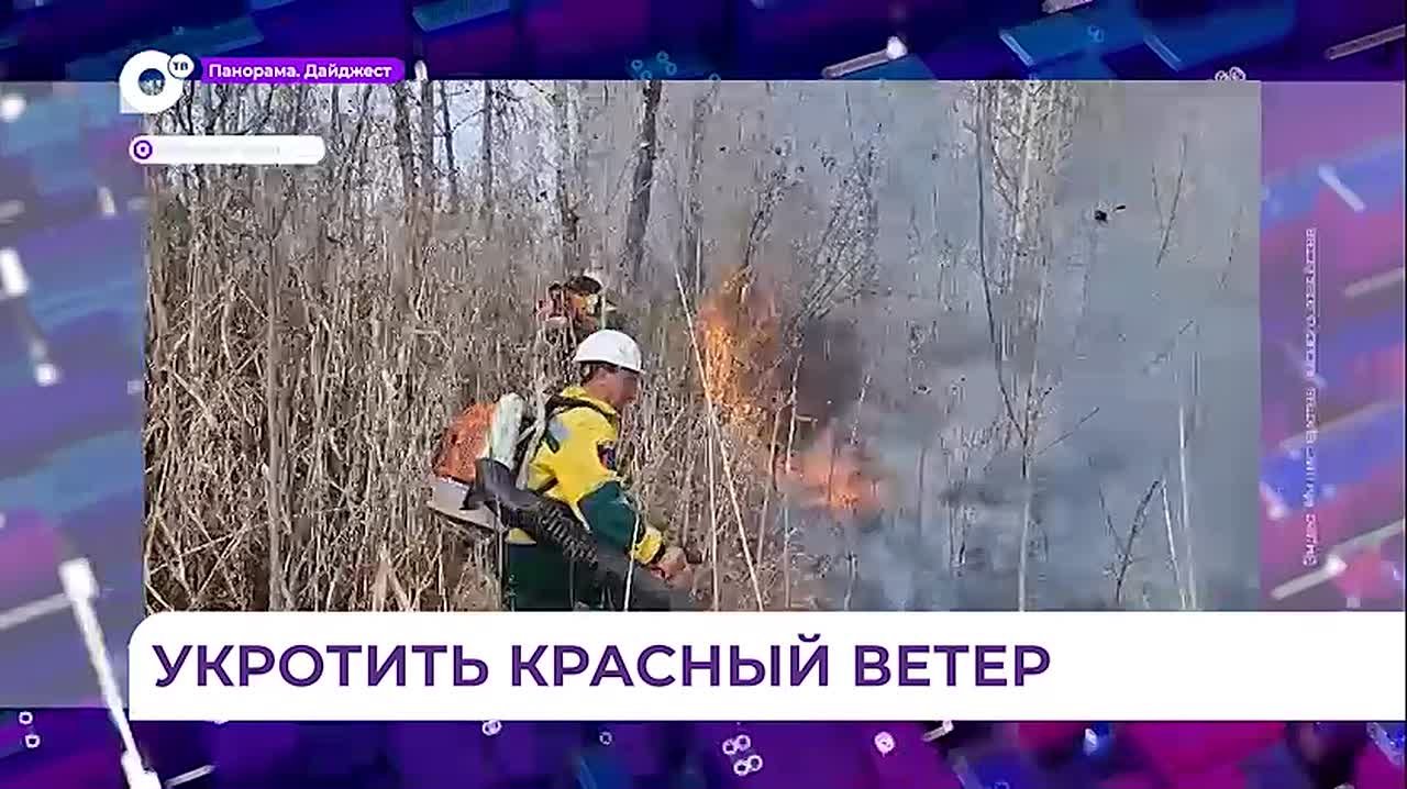 Ветер и сухая погода создали в Приморье условия для объявления пожароопасного сезона