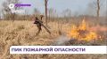 Высокий четвёртый класс пожарной опасности зафиксирован в лесах Приморья