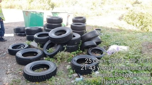 Более 800 тонн шин вывезли с улиц Владивостока в этом году