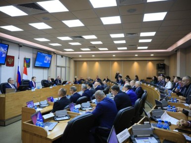 В Приморье приняли законопроект, уточняющий условия получения льгот многодетными семьями