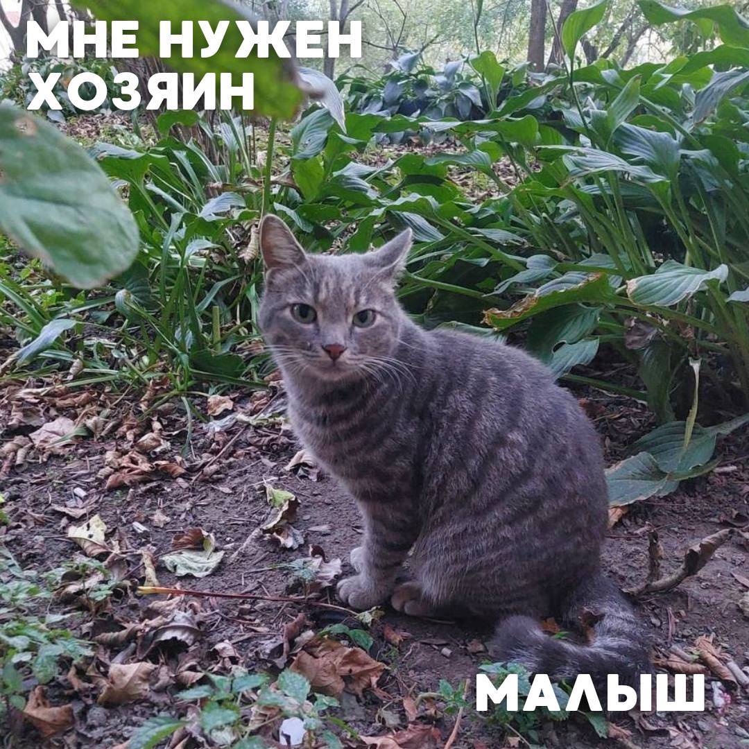 Сегодня в рубрике #Ищу_человека делимся информацией от наших подписчиков, которые взяли себе самых очаровательных питомцев на временную передержку и ищут им теплый дом Сегодня в рубрике #Ищу_человека делимся информацией от наших подписчиков, которые взяли себе самых очаровательных питомцев на временную передержку и ищут им теплый дом