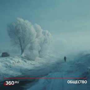 Половина России укрылась снежным покрывалом