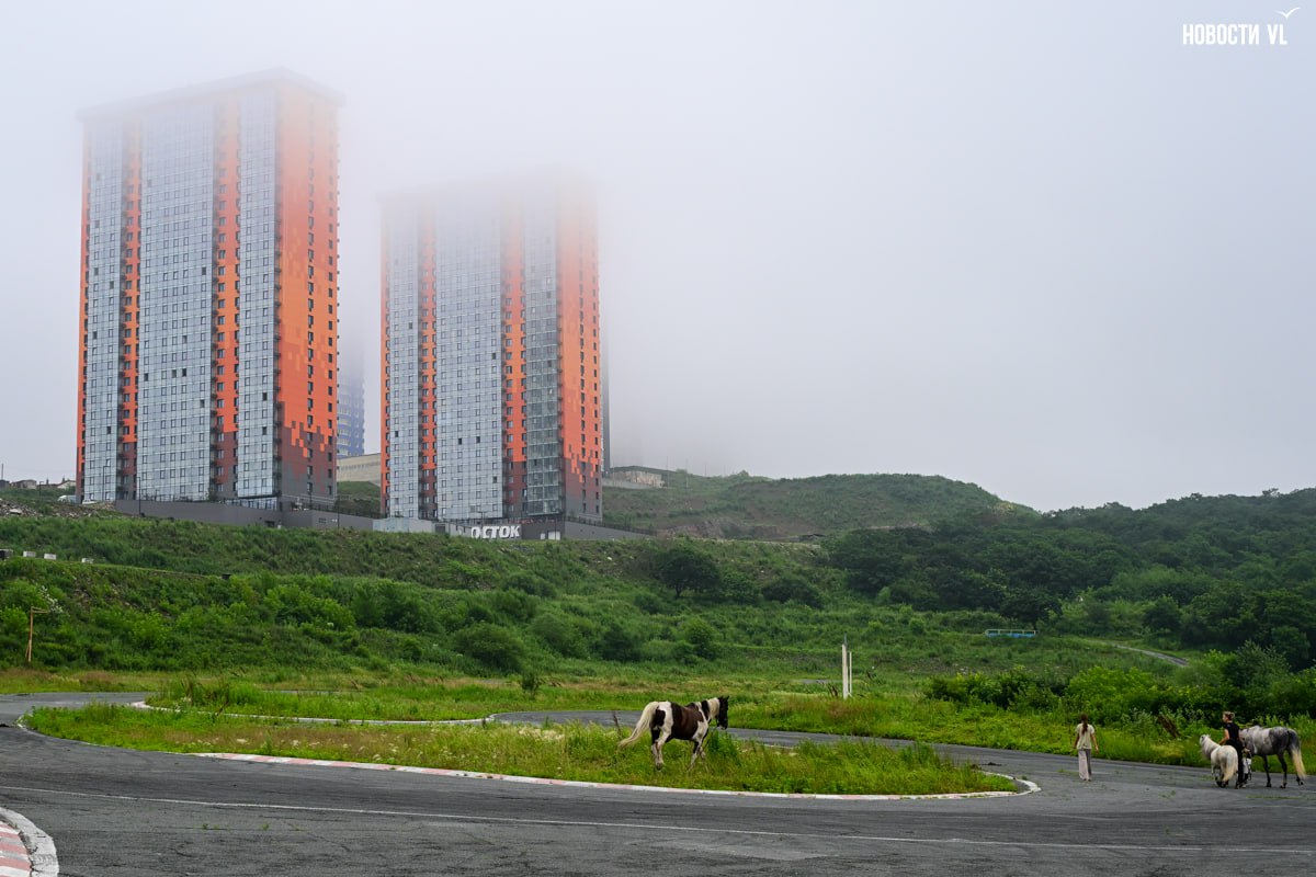 Градсовет Владивостока одобрил многоэтажный отель на Черёмуховой и офисные здания во дворах на Семёновской и Уборевича Градсовет Владивостока одобрил многоэтажный отель на Черёмуховой и офисные здания во дворах на Семёновской и Уборевича