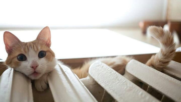 Отопление подано во все жилые дома и соцобъекты Приморского края