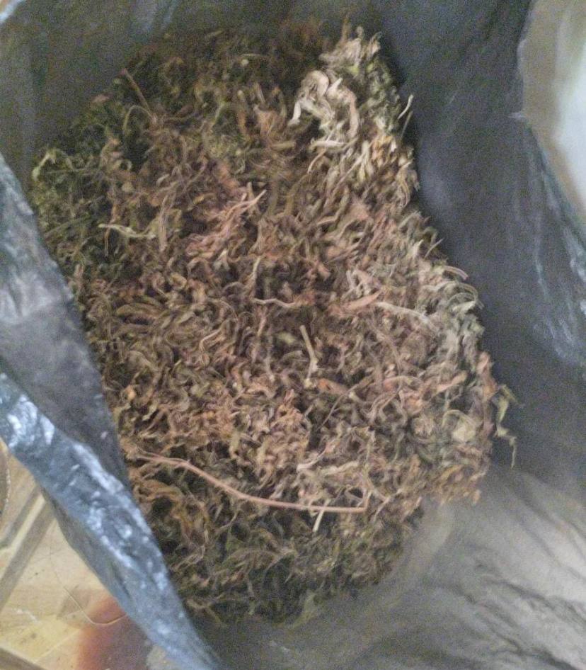 В Приморье полицейские Хорольского округа возбудили уголовные дела о незаконном хранении наркотиков, оружия и боеприпасов В Приморье полицейские Хорольского округа возбудили уголовные дела о незаконном хранении наркотиков, оружия и боеприпасов