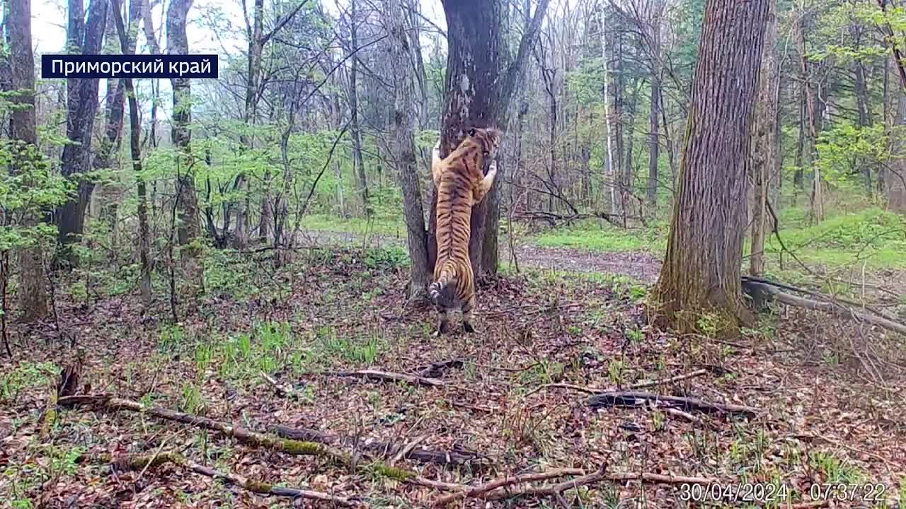 На очередной сессии Заксобрания, приморские депутаты рассмотрели 60 вопросов