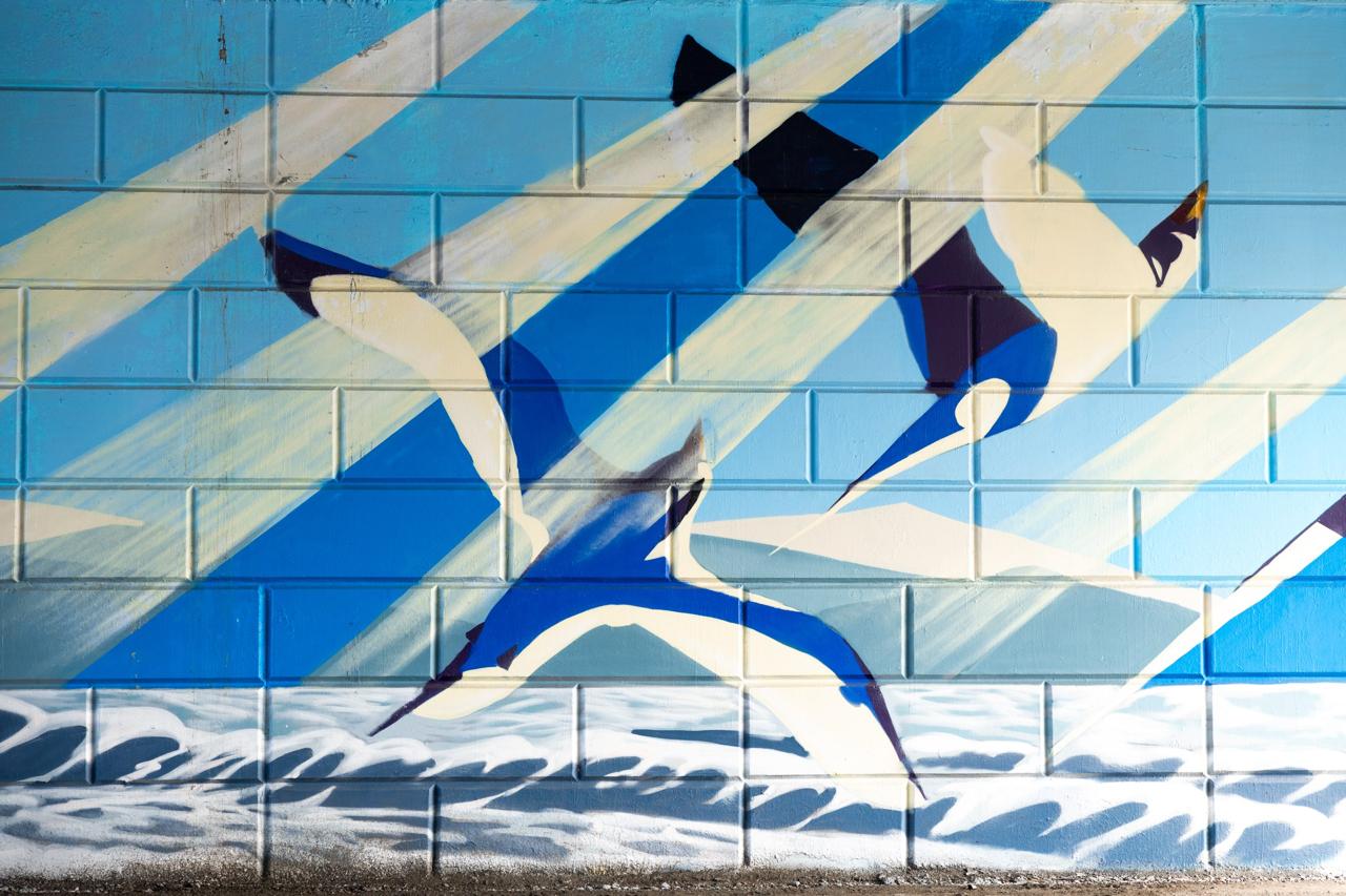 Более 10 муралов создали во Владивостоке в этом году Более 10 муралов создали во Владивостоке в этом году
