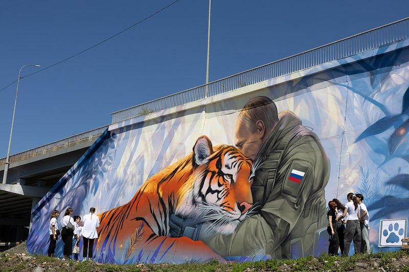 Более 10 муралов создали во Владивостоке в этом году Более 10 муралов создали во Владивостоке в этом году