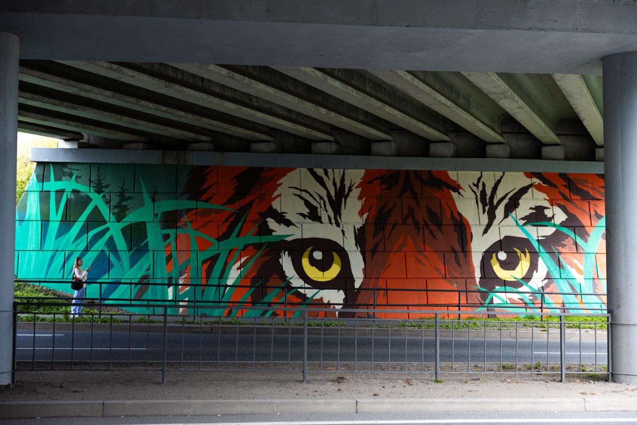 Более 10 муралов создали во Владивостоке в этом году Более 10 муралов создали во Владивостоке в этом году
