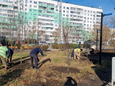 Свыше 150 кустарников и более 30 саженцев деревьев украсят сквер на Лермонтова, 81
