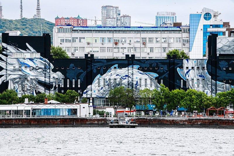 Более 10 муралов создали во Владивостоке в этом году Более 10 муралов создали во Владивостоке в этом году