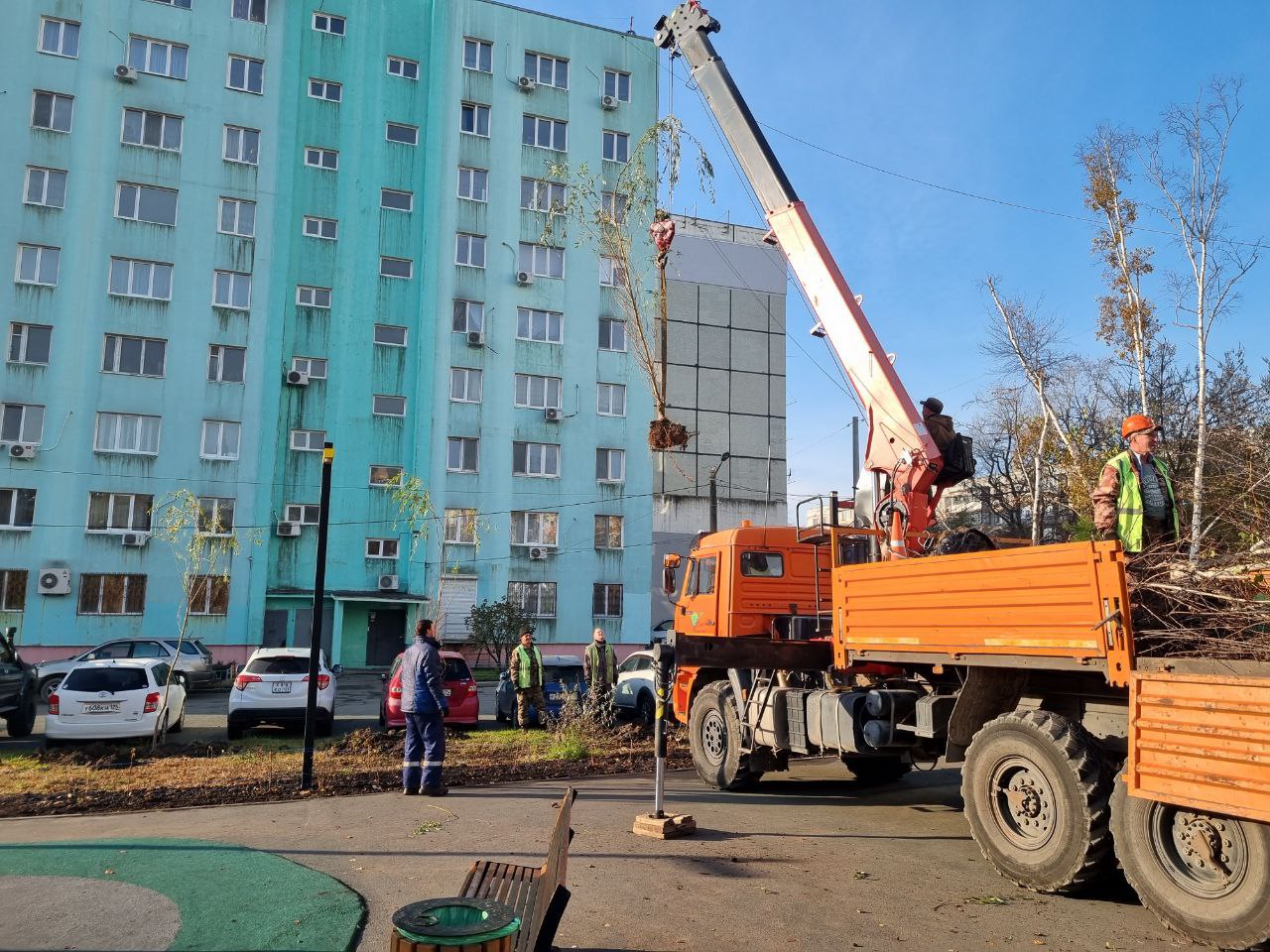 Свыше 150 кустарников и более 30 саженцев деревьев украсят сквер на Лермонтова, 81 Свыше 150 кустарников и более 30 саженцев деревьев украсят сквер на Лермонтова, 81