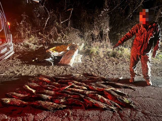 В Приморье в ходе операции «Путина-2025» сотрудники полиции задержали браконьеров на территории Хасанского района