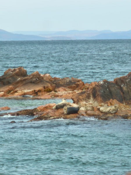 Общественный совет при УМВД по Приморью подарил воспитанникам социального приюта незабываемое морское приключение Общественный совет при УМВД по Приморью подарил воспитанникам социального приюта незабываемое морское приключение