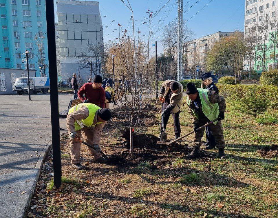 Свыше 150 кустарников и более 30 саженцев деревьев украсят сквер на Лермонтова, 81