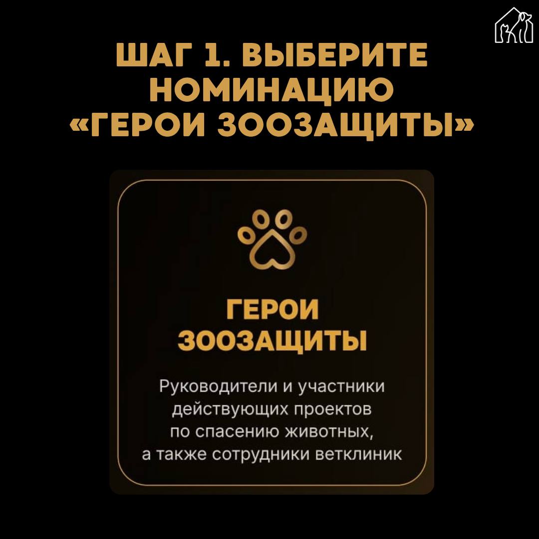 Друзья! Куратор нашего проекта «Животные города В» Яна Красицкая участвует во Всероссийской народной премии "Голос героев"