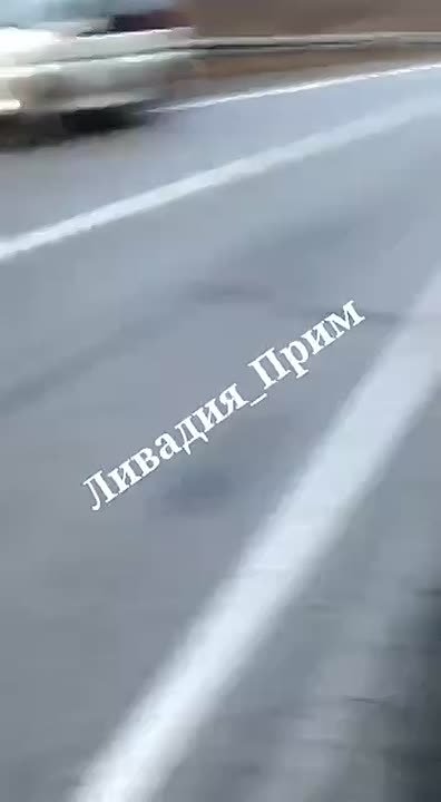 Сегодняшним утром медведь погиб под колёсами большегруза