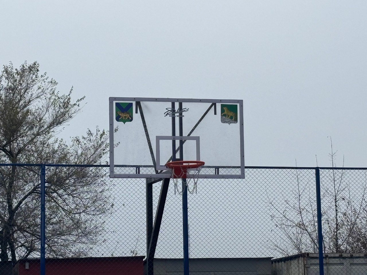 Во Владивостоке в этом году открыли восемь новых многофункциональных спортивных площадок, расположенных по адресам: Хабаровская, 7, 2-я Поселковая, 34, Суханова, 4, Сипягина, 22, Морозова, 7, Черемуховая, 22, Каштановая, 11...