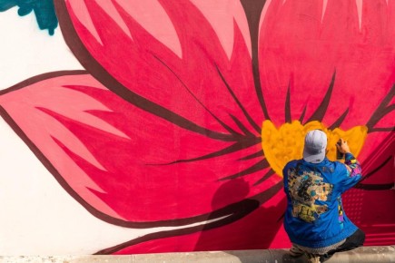 Более 10 муралов создали во Владивостоке в этом году