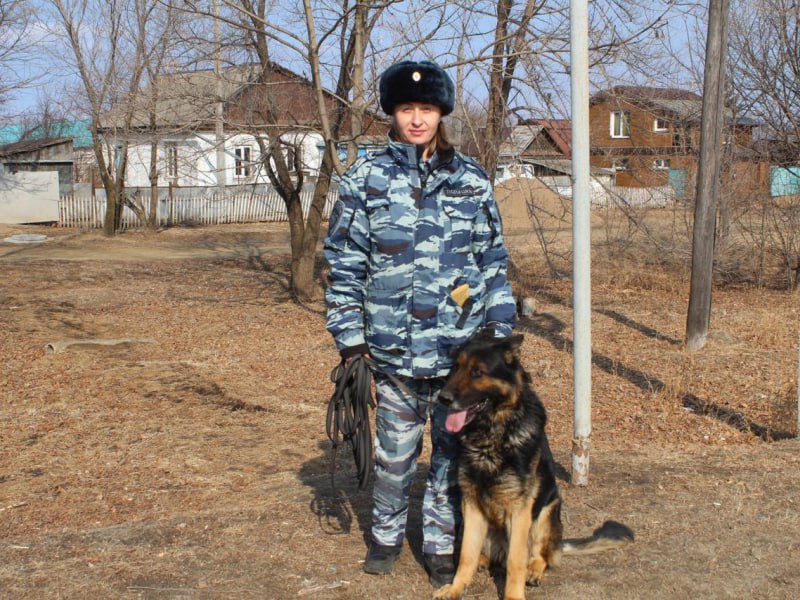 Зорро раскрыл кражу тысячи рублей и продуктов в Приморье Зорро раскрыл кражу тысячи рублей и продуктов в Приморье