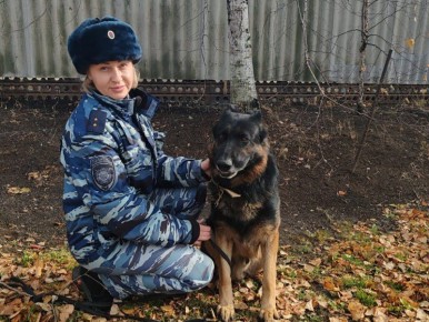 В Хорольском округе Приморья служебная собака по кличке Зорро помогла полицейским раскрыть квартирную кражу