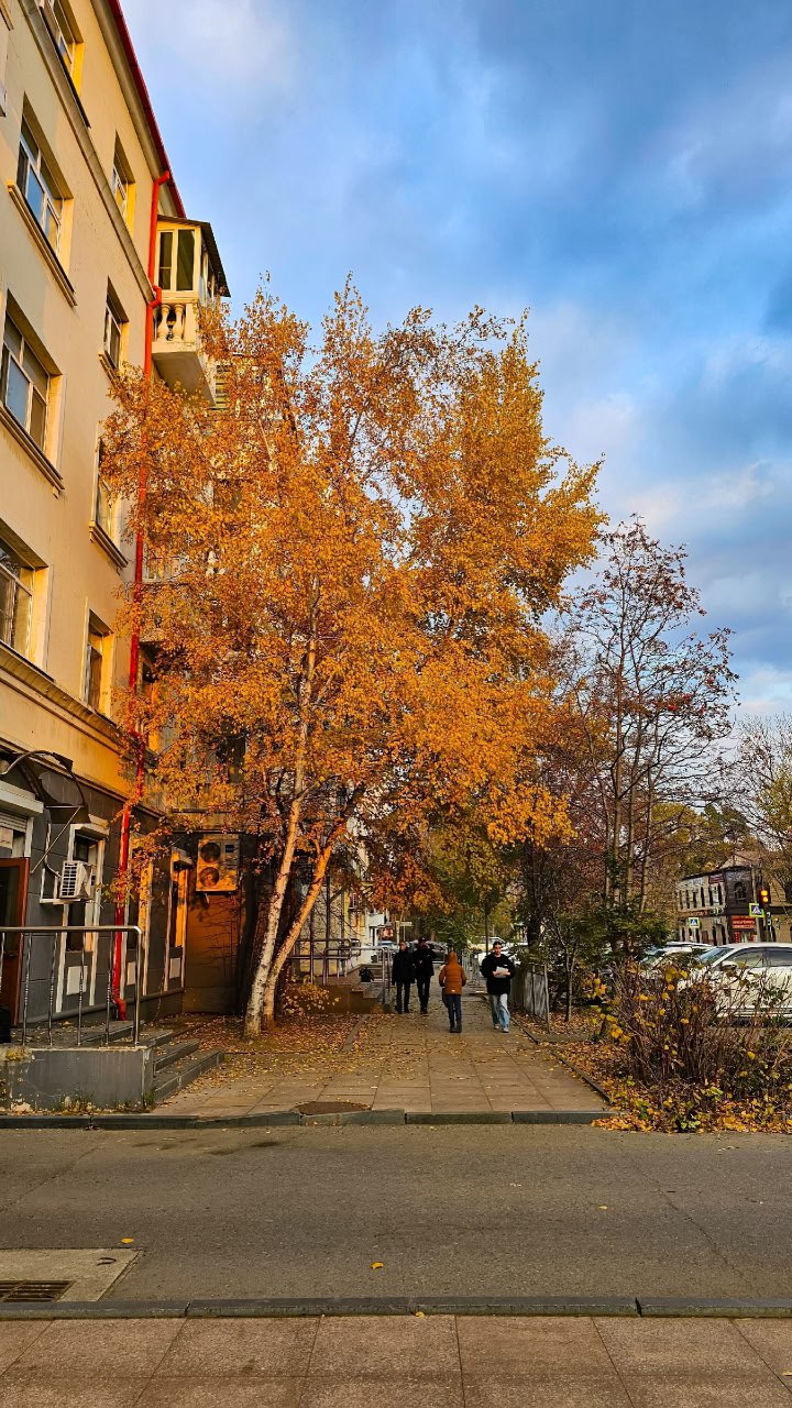 Доброе утро, Уссурийск!. Сегодня суббота, 1 ноября — впереди выходные, но ещё столько возможностей сделать день продуктивным и приятным