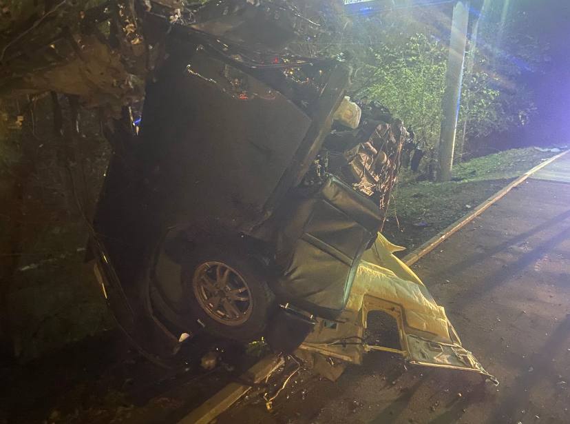 Во Владивостоке автомобиль вылетел с дороги и опрокинулся — водитель погиб, пассажир госпитализирован Во Владивостоке автомобиль вылетел с дороги и опрокинулся — водитель погиб, пассажир госпитализирован