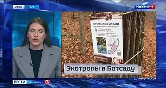 Новости Приморья коротко. Вести Приморья в МАХ