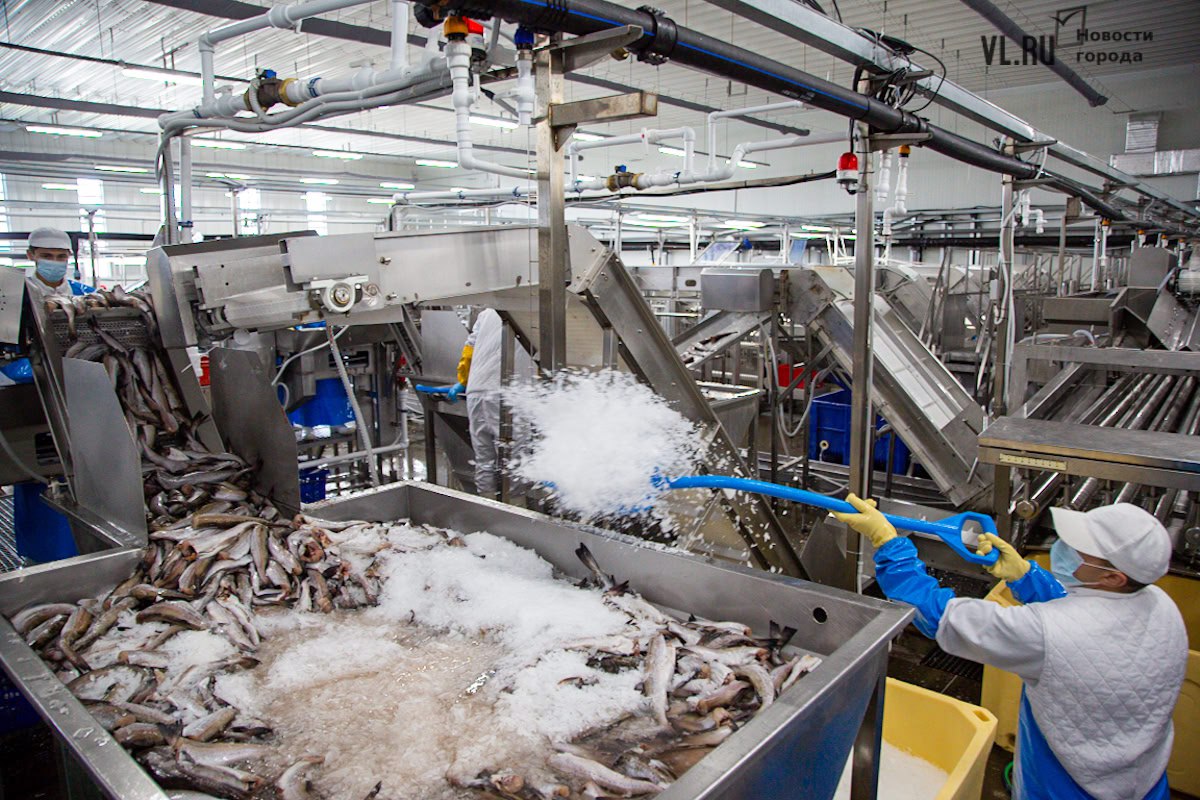 В Приморье хотят построить три рыбоперерабатывающих завода