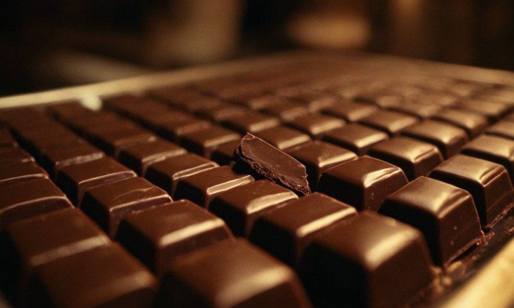 Правительство Приморского края направило 72,2 миллиона рублей на приобретение новогодних подарков для детей