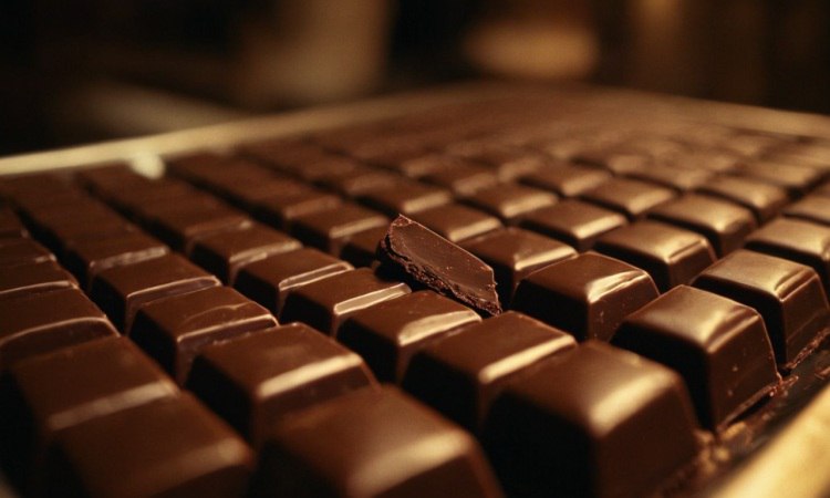 Правительство Приморского края направило 72,2 миллиона рублей на приобретение новогодних подарков для детей