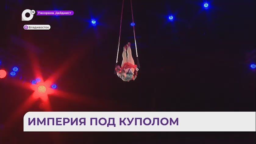 Во Владивостоке стартовало цирковое шоу «Империя львиц»